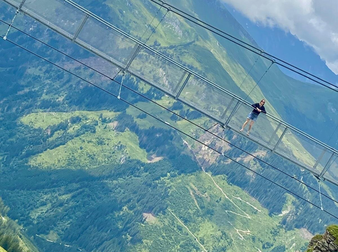 Stubnerkogel Suspension Bridge-泉卡斯汀必去景点