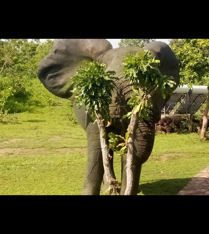 Mole National Park-Larabanga必去景点