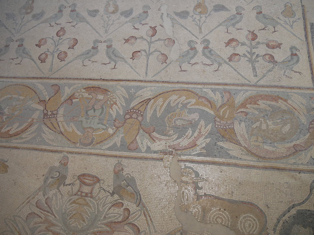 Church of the Apostles景点图片