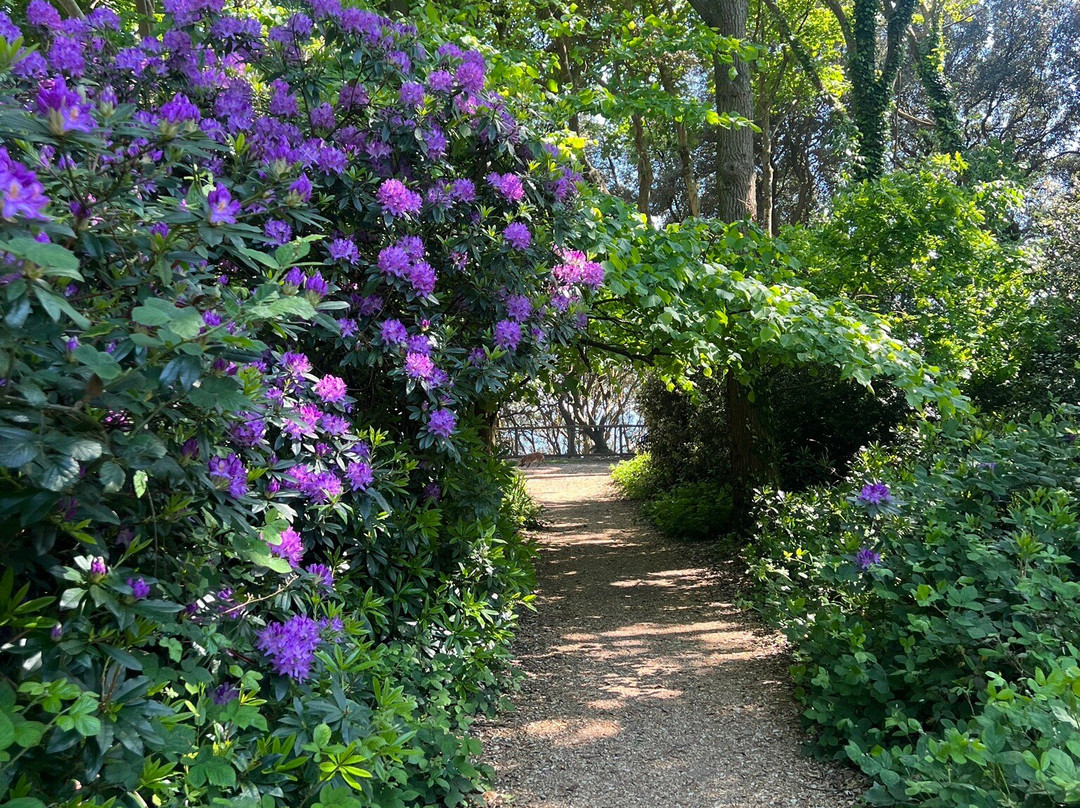 Highcliffe Beach-Highcliffe必去景点