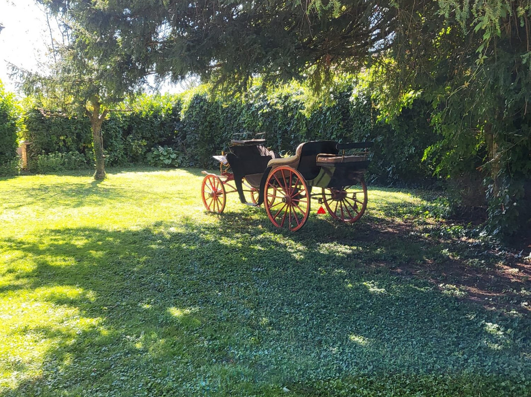 Parc et Jardin du Château de Kolbsheim景点图片