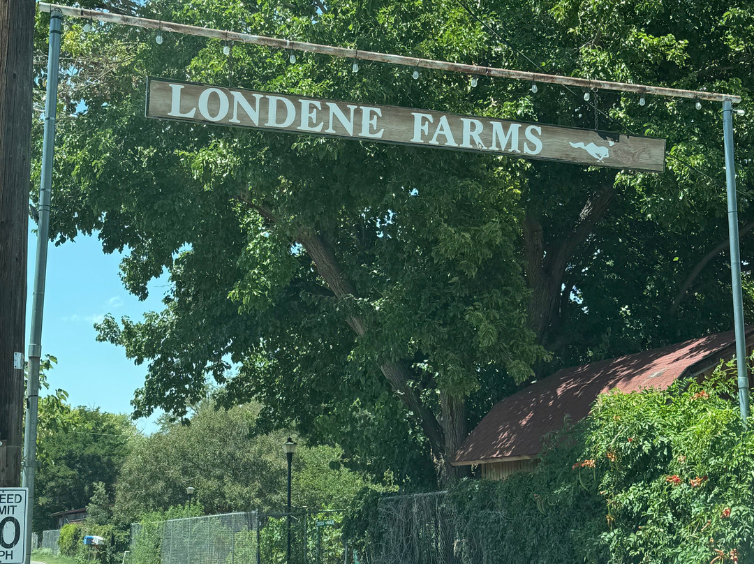 Red Horse Bed and Breakfast主图