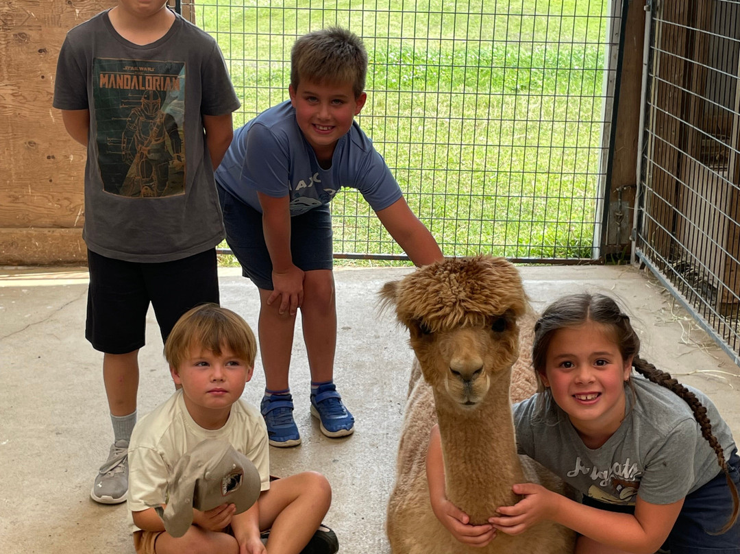 Kickin' Back Alpaca Ranch景点图片
