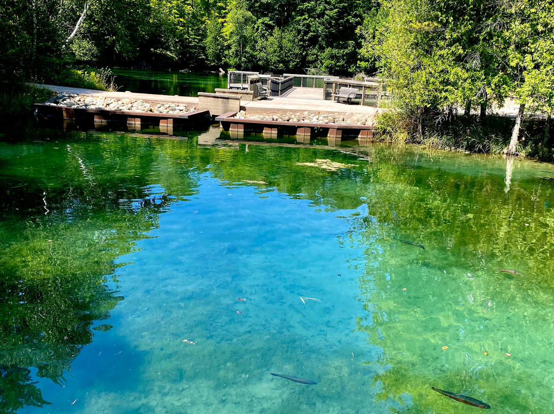The Oden State Fish Hatchery-Alanson必去景点