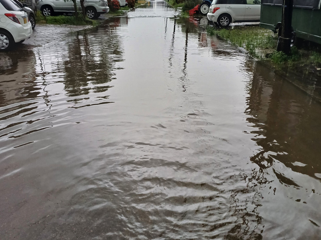 Felisa Apartments主图