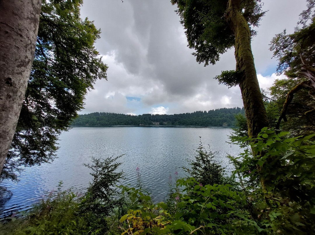 Lac Pavin景点图片