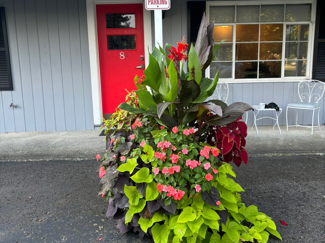 Grayhaven Motel主图