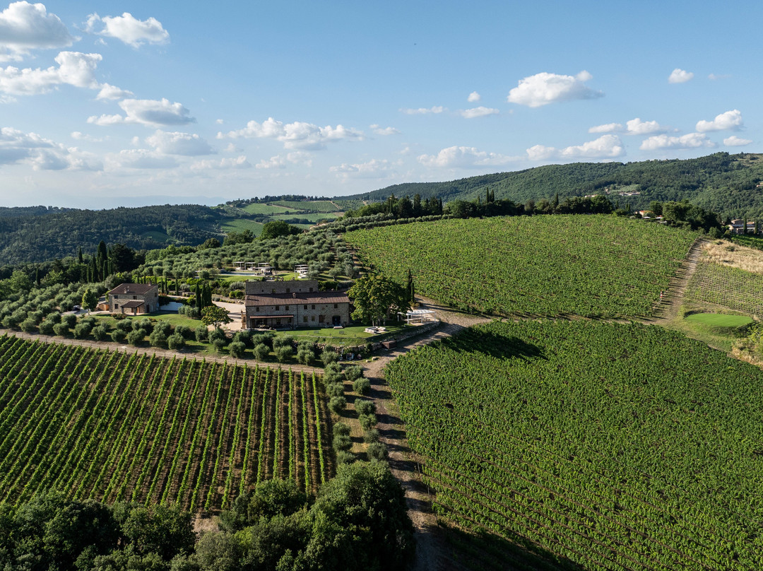 Villa Il Cellese