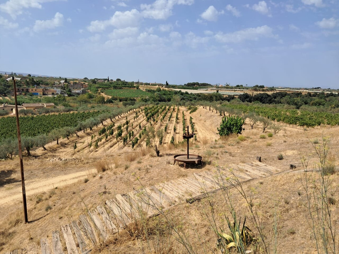 Azienda Agricola Poggio di Bortolone-Chiaramonte Gulfi必去景点