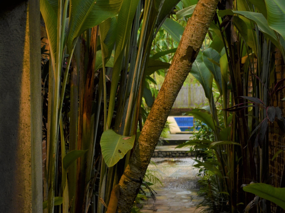 The Amrta Borobudur主图