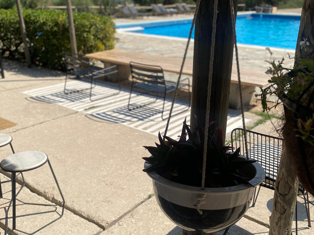 My Little Place On The Hill主图