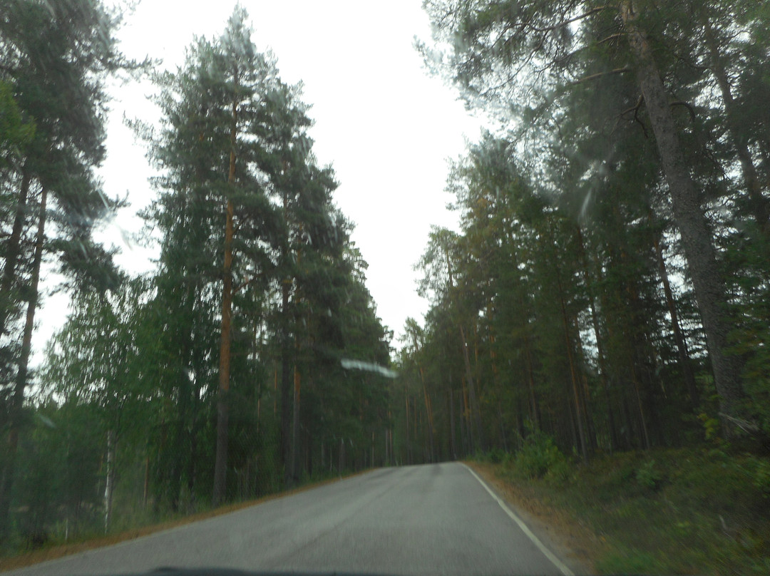 Punkaharju Ridge-Punkaharju必去景点