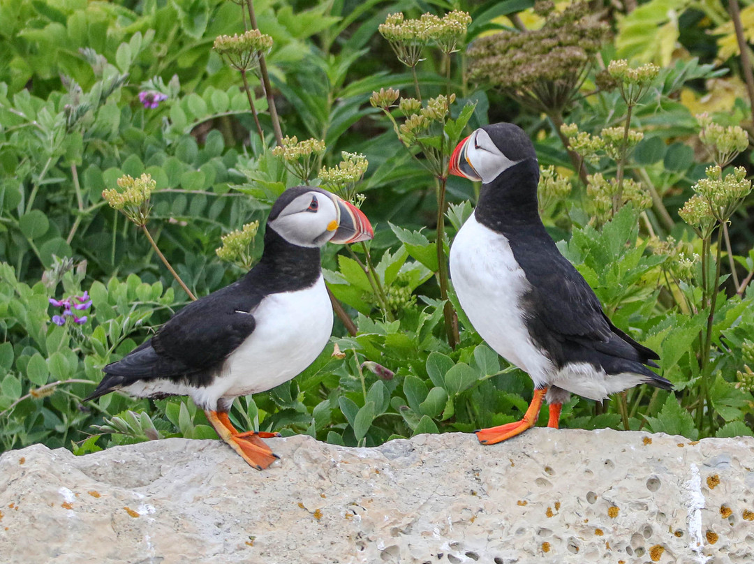 Tourisme Loiselle-Longue-Pointe-de-Mingan必去景点