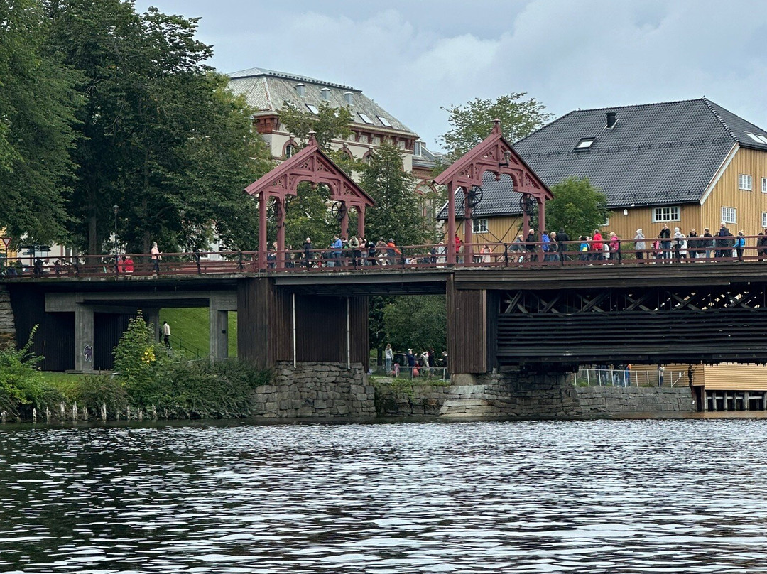 Trondheim Kajakk景点图片
