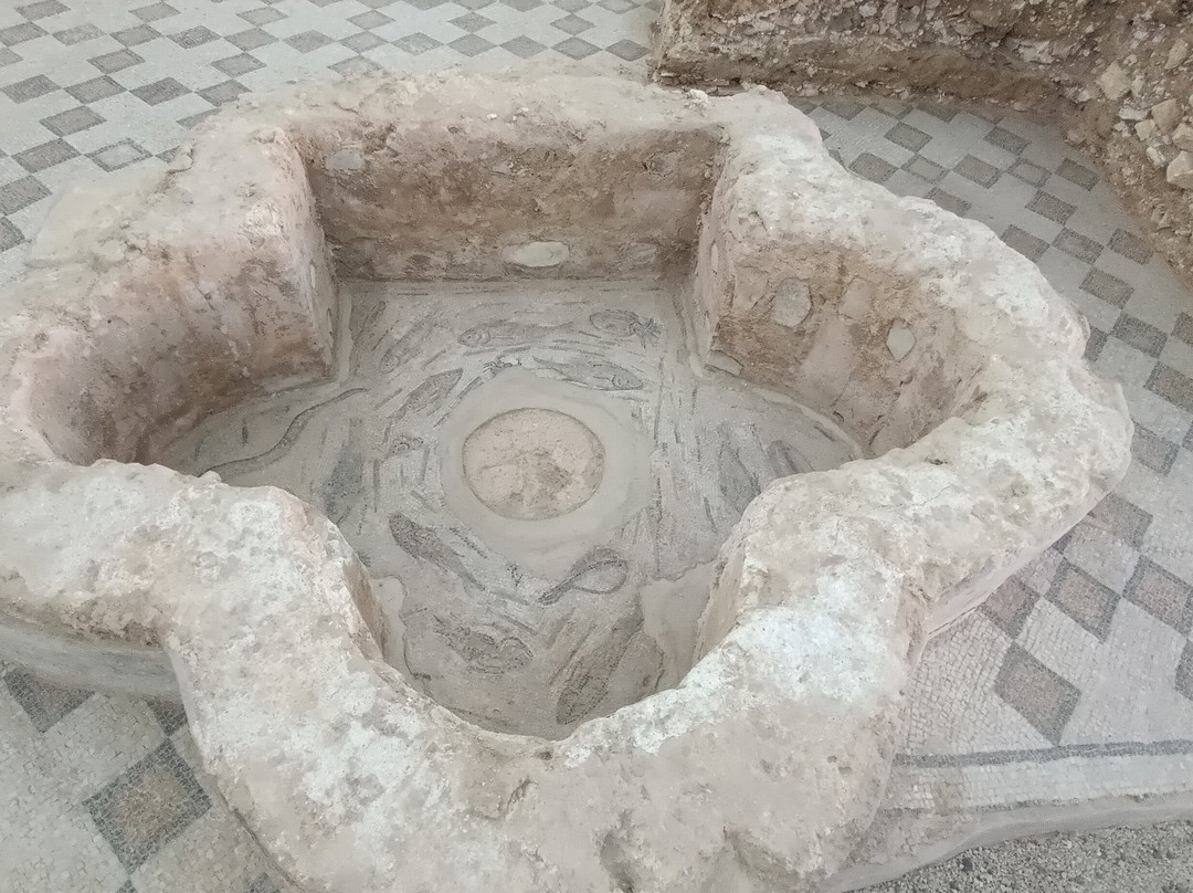 Museo Archeologico Nazionale Antiquarium Turritano-Porto Torres必去景点