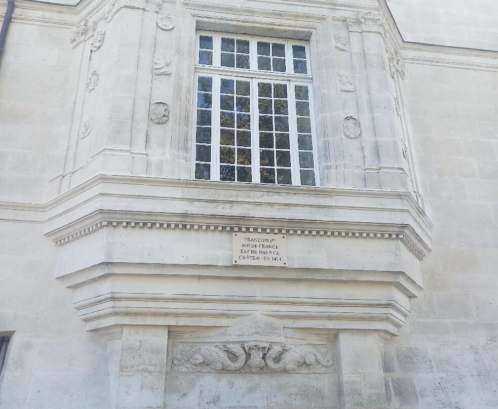 Le Château De Cognac景点图片
