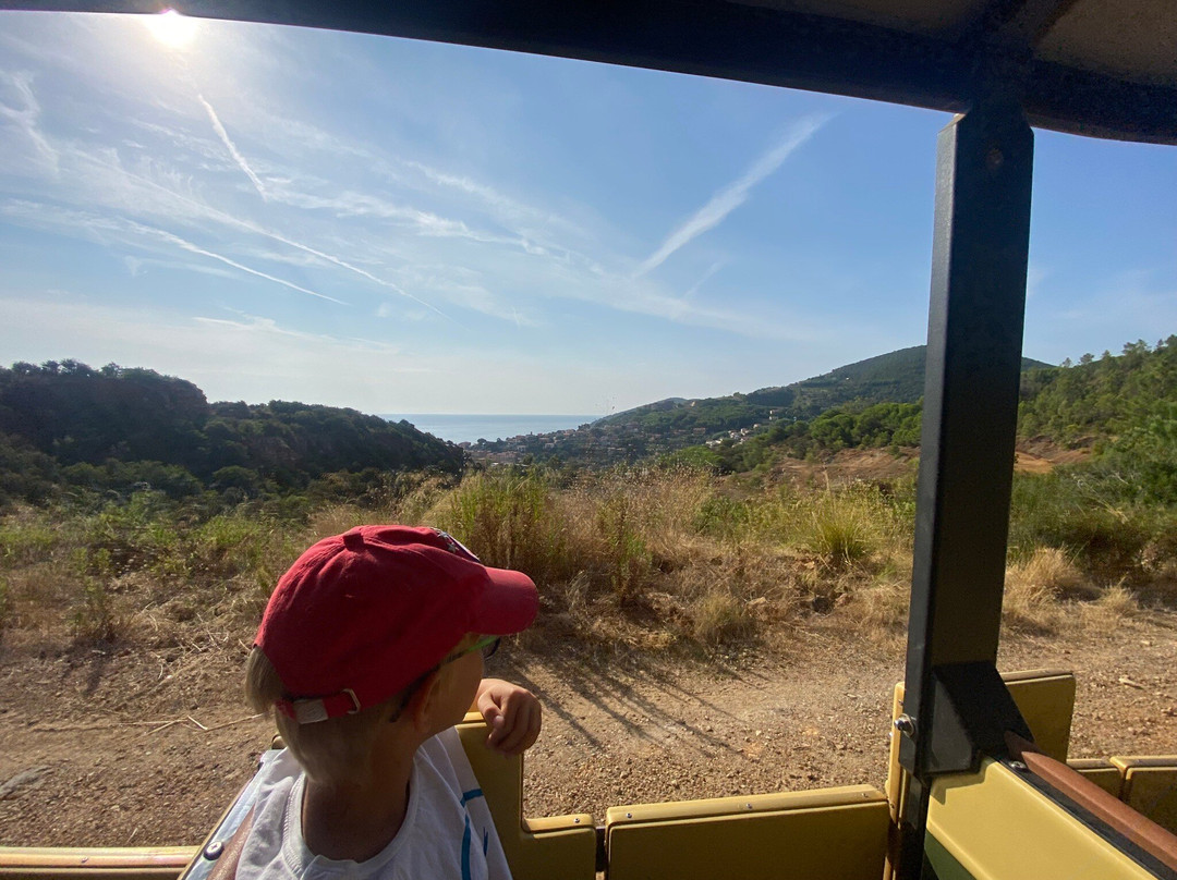 Elba Island Mining Park景点图片