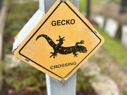 Castle Golf-迈尔斯堡必去景点