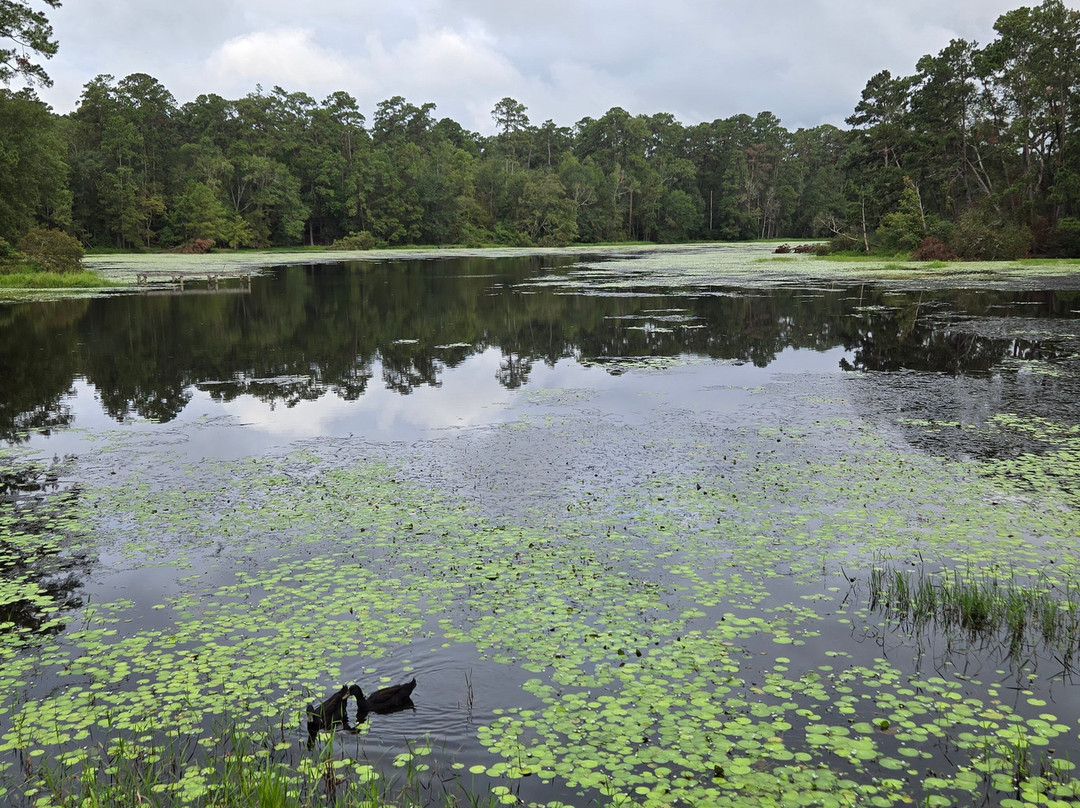 Double Lake Recreation Area-Coldspring必去景点