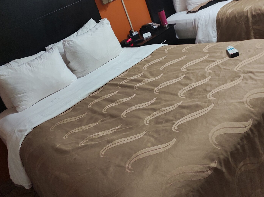 Quality Inn & Suites At The Outlets Mercedes/Weslaco主图