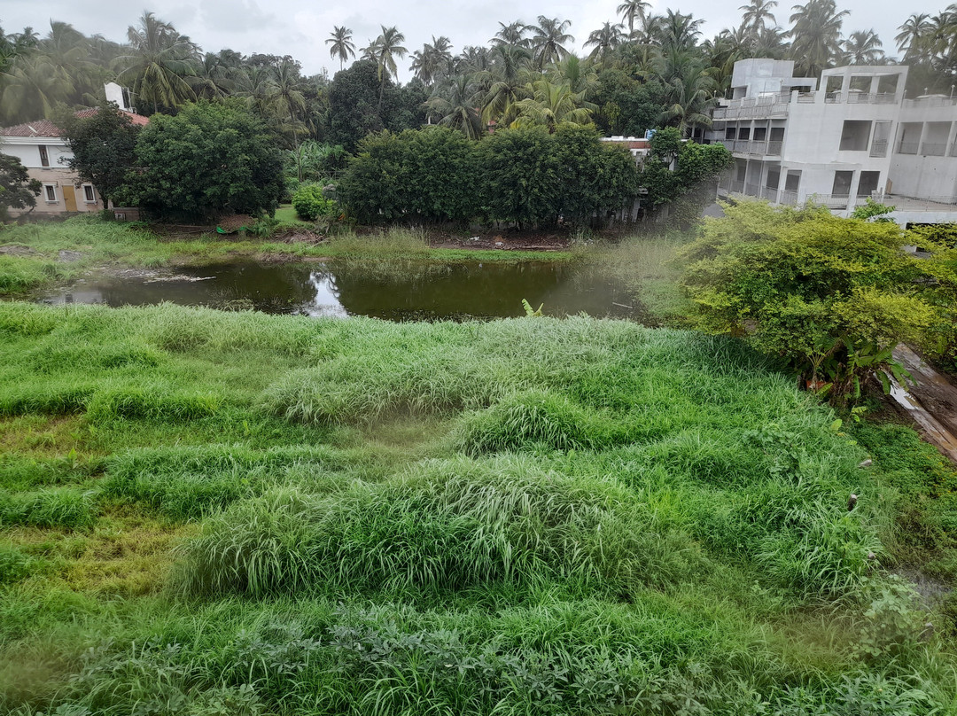 Bougainvillea Alibaug主图
