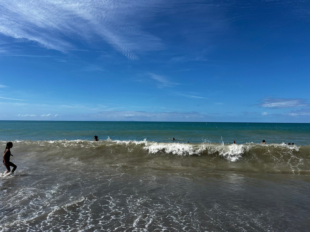 Spiaggia libera di Bibbona-Marina di Bibbona必去景点