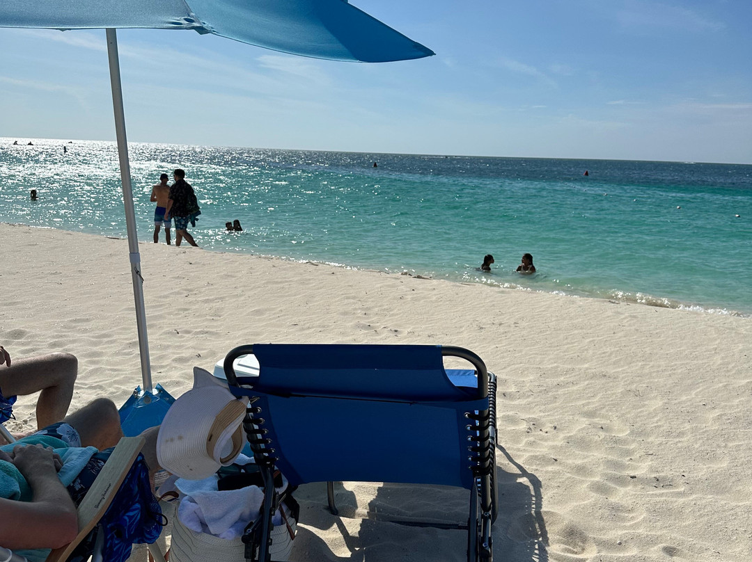 Coconut Rentals Aruba-棕榈/鹰海滩必去景点