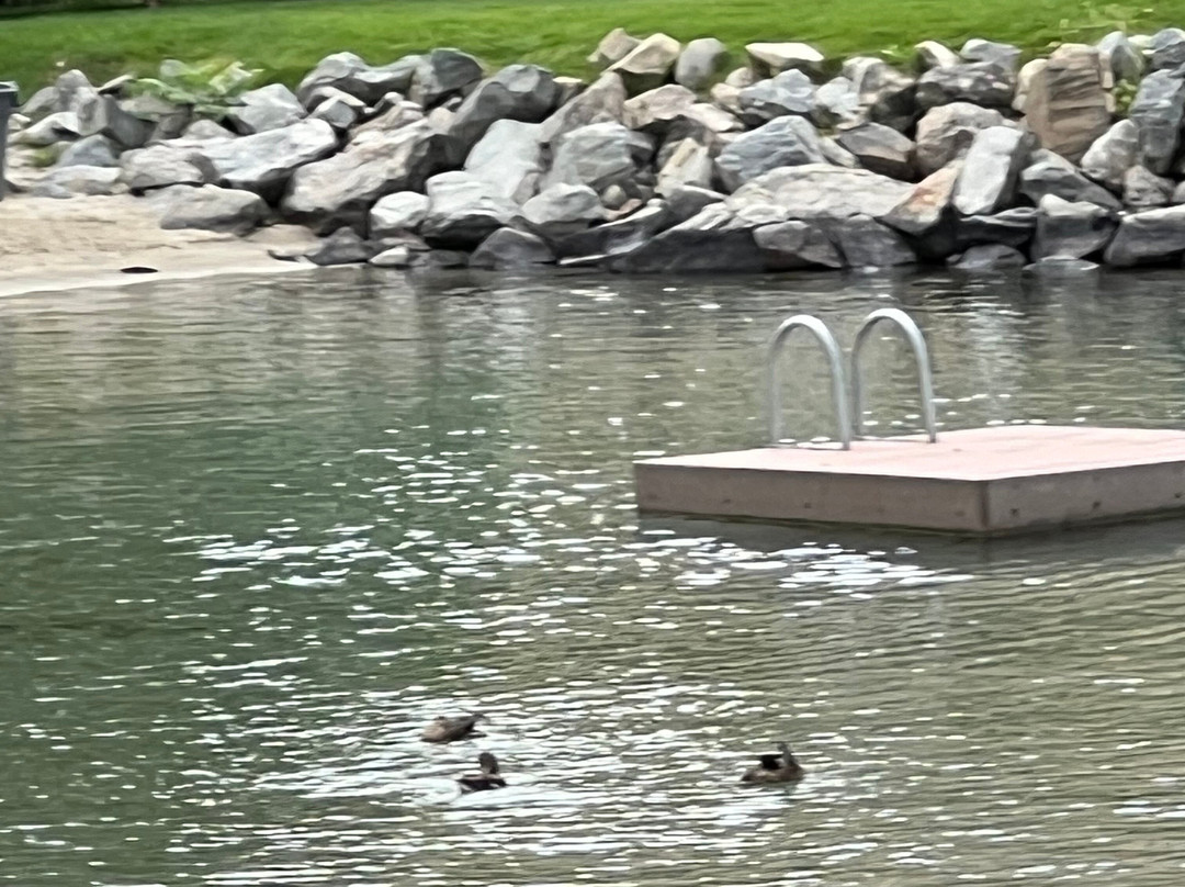 Campbell's Resort On Lake Chelan主图