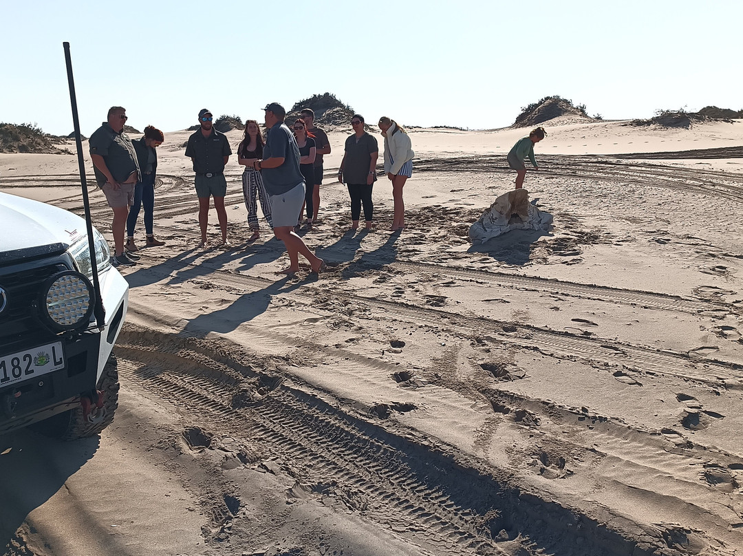 Inami Safaris-华维斯湾必去景点