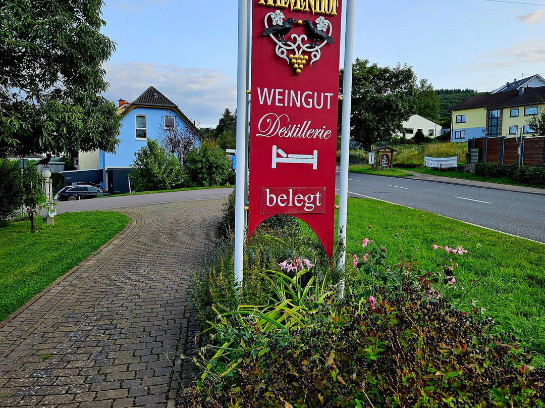 Weingut Raevenhof景点图片