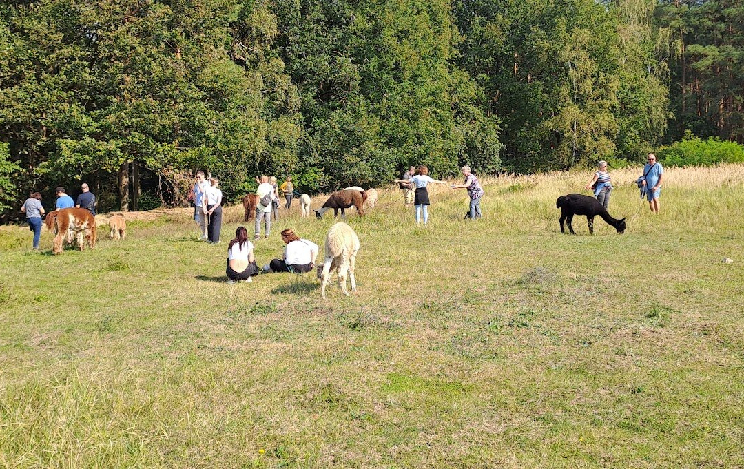 Maerkischer Lamahof - Zadik-Lamas-Mittenwalde必去景点