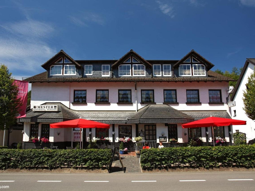 Gasthaus Pension Mester主图