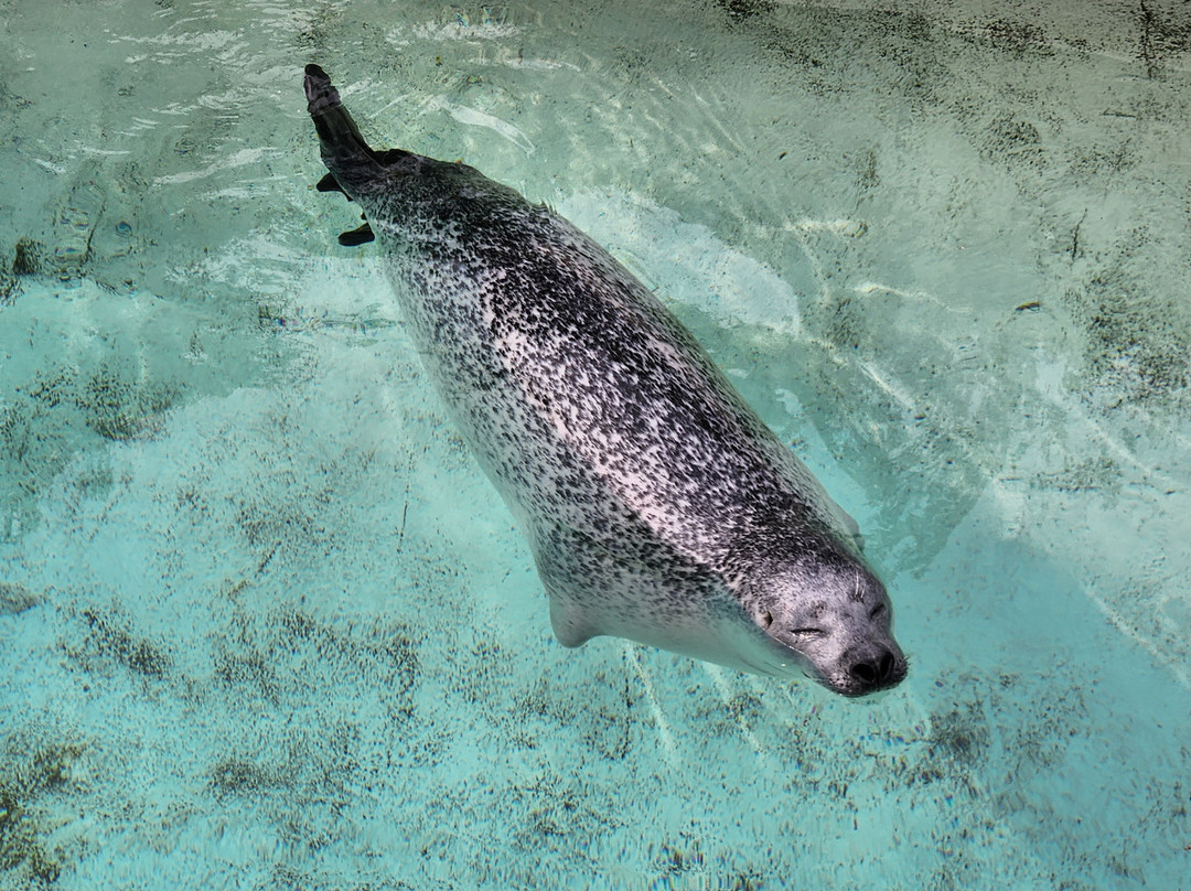Aquarium du Québec-魁北克市必去景点