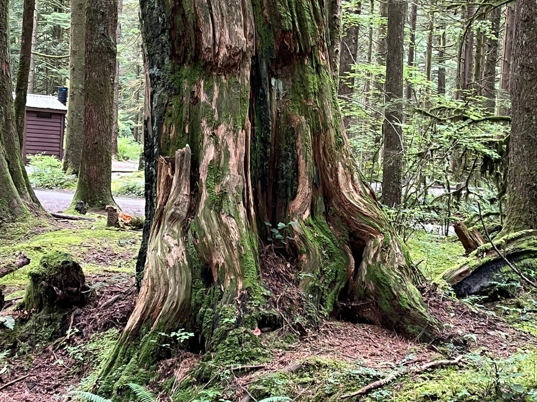 Golden Ears Provincial Park-枫树岭必去景点