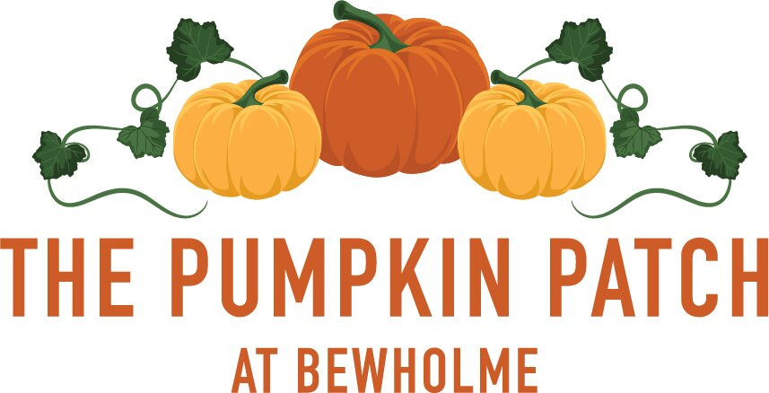 The Pumpkin Patch At Bewholme景点图片