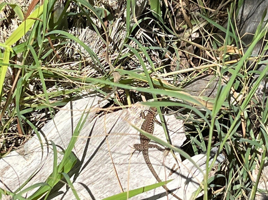 The Signature Level at Grand Palladium Sicilia Resort & Spa