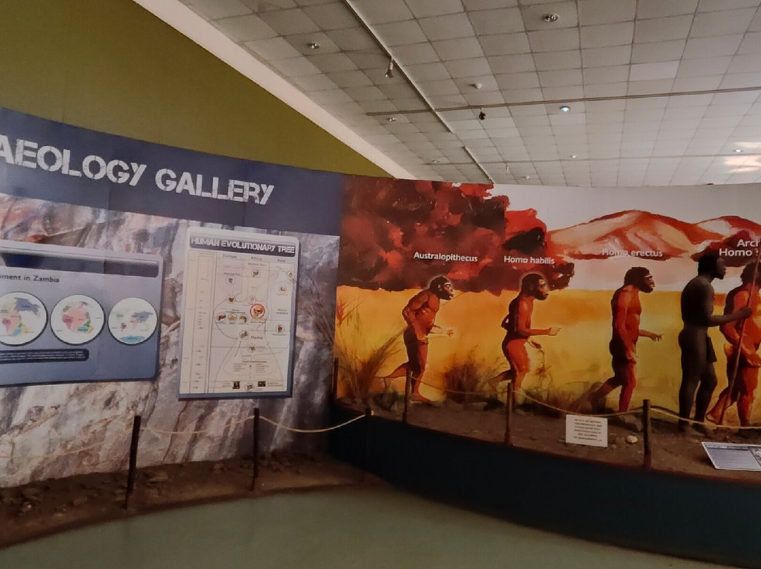 Zambia National Museum景点图片
