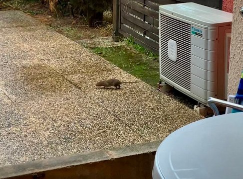 Résidence Pierre & Vacances Les Jardins de la Côte d’Azur-官方