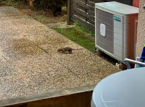 Résidence Pierre & Vacances Les Jardins de la Côte d’Azur主图