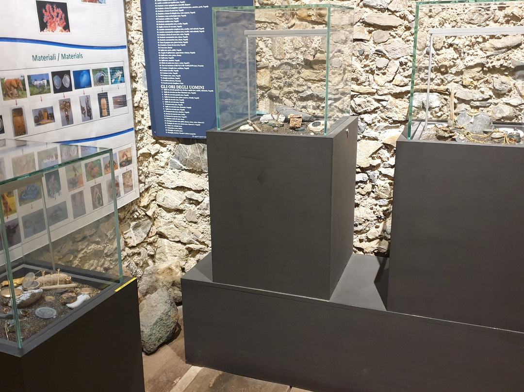 Museo del Mare景点图片