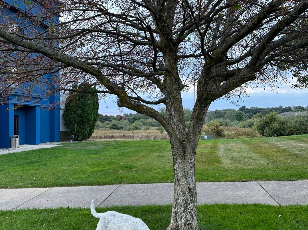 Hampton Inn Marshall主图