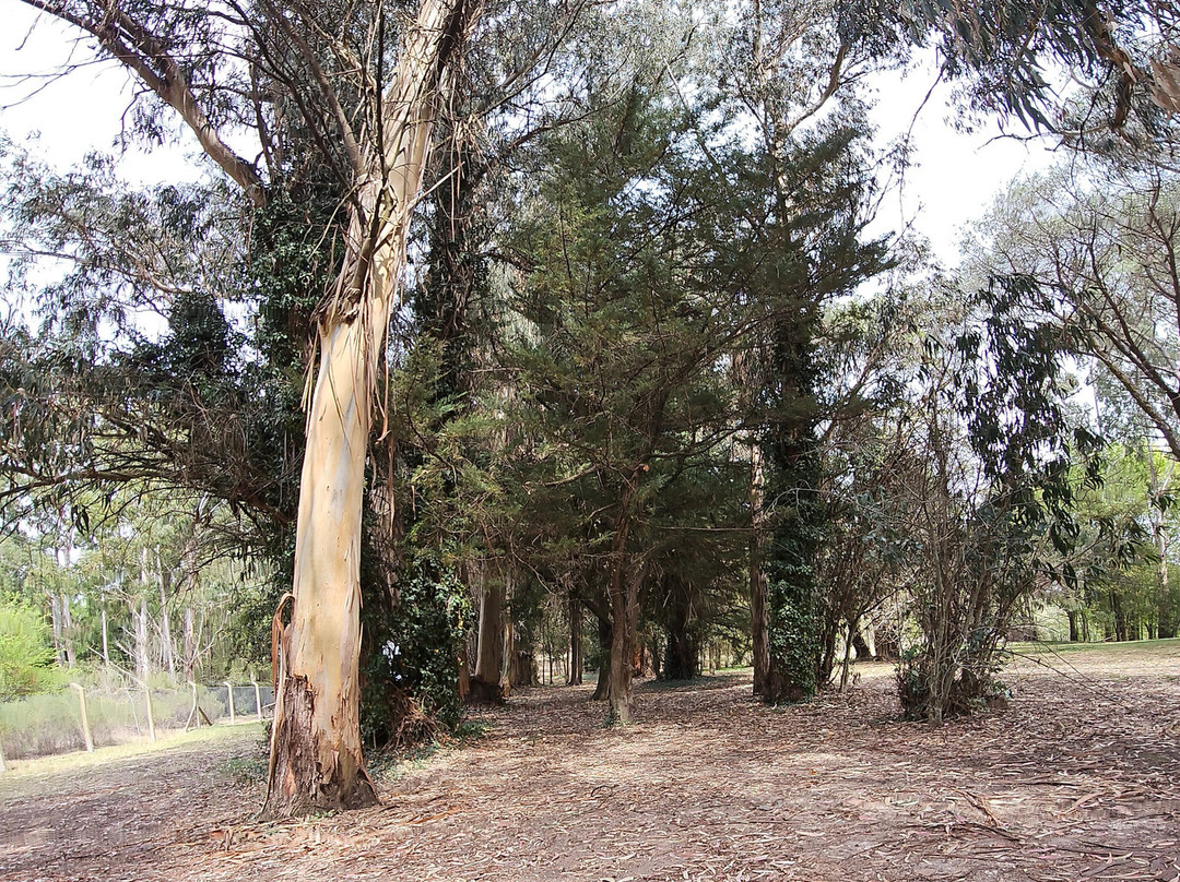 艾琳娜酒店主图