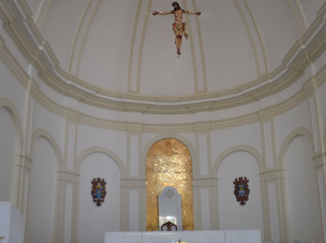 Catedral Metropolitana de Santo Antonio da Se景点图片