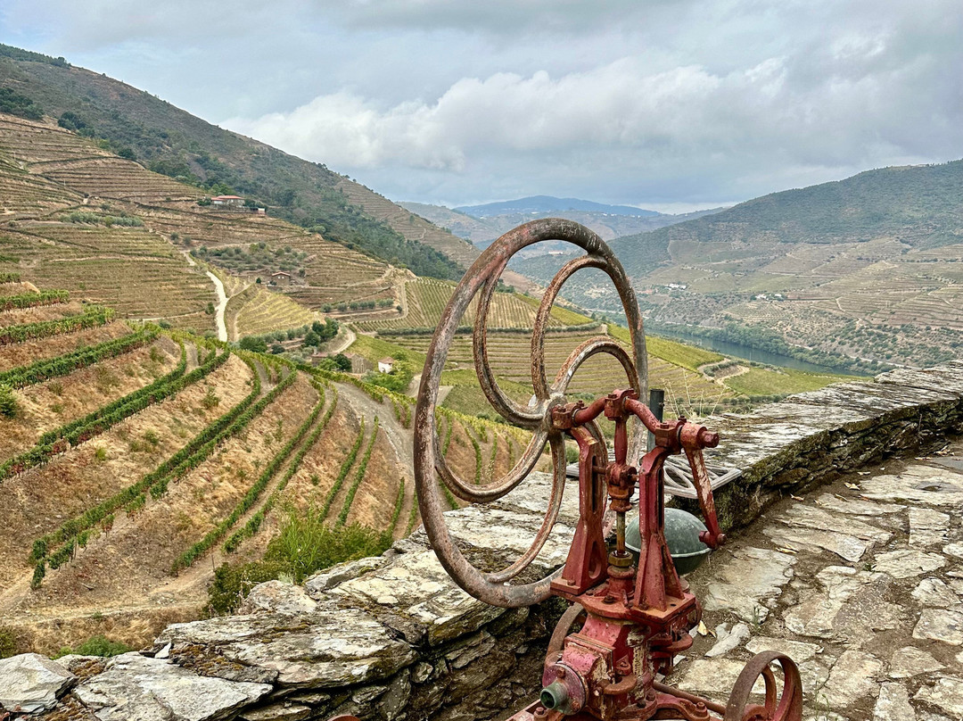 Gricha Vineyard House主图