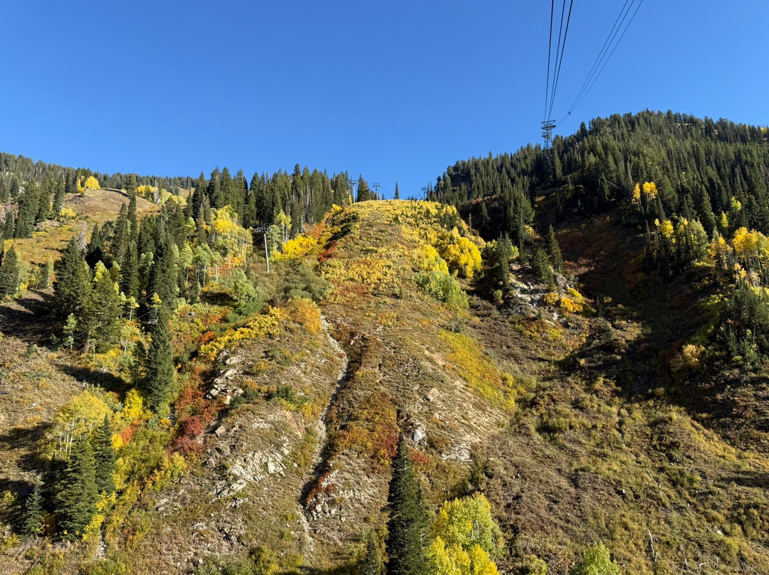 Snowbird-Snowbird必去景点