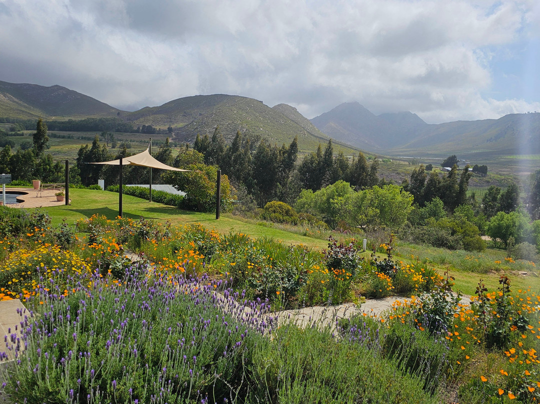 Over the Mountain Guest Farm主图