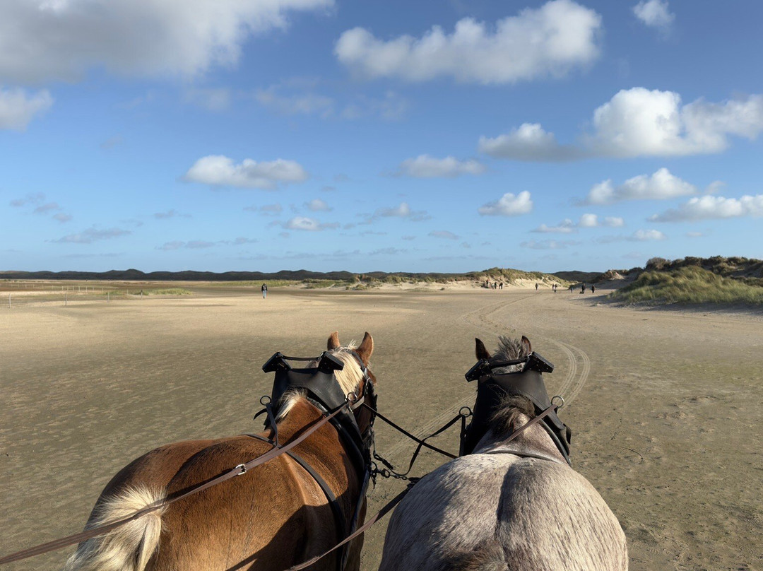 Jan Plezier Huifkartochten Texel-De Waal必去景点