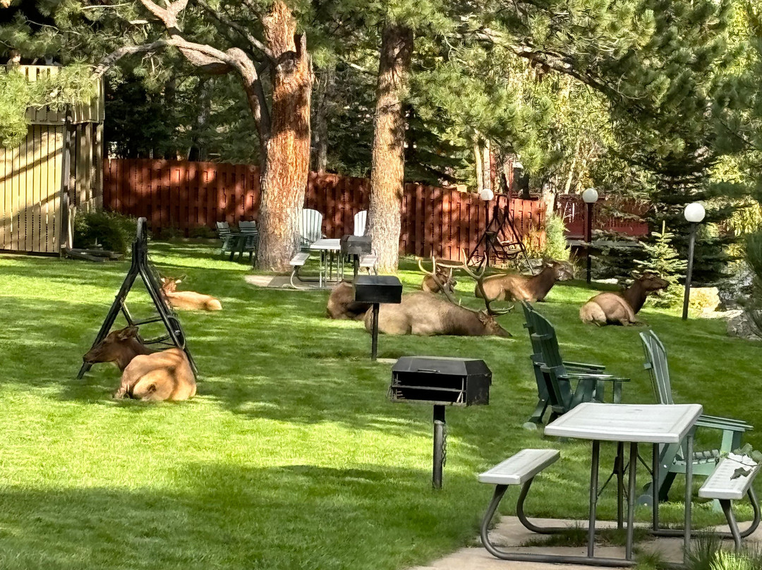 Deer Crest Resort主图