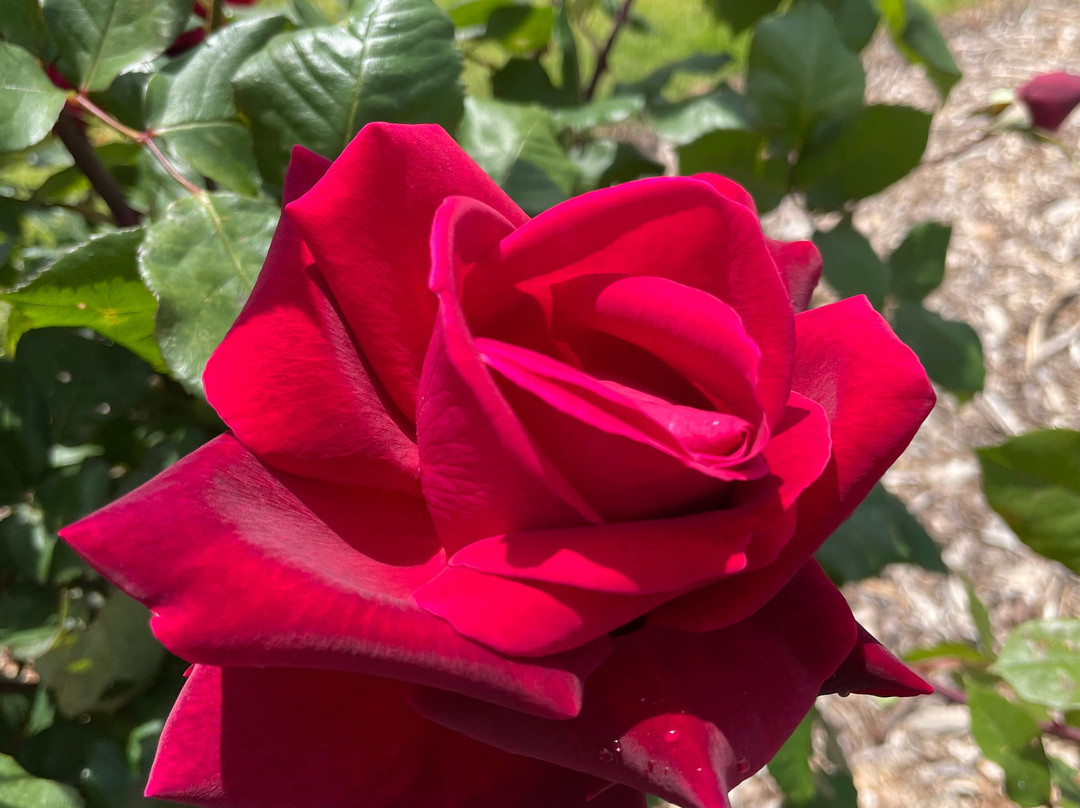 Heyfield Cemetery-Heyfield必去景点