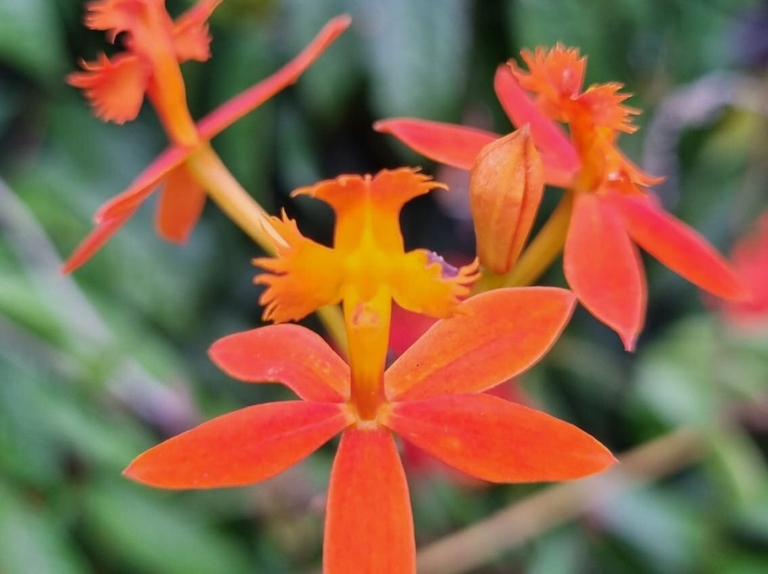 Wanders Munnar-慕那尔必去景点